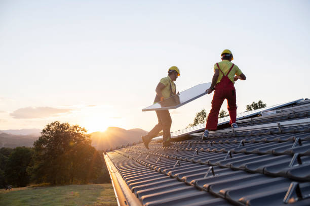 Best Storm Damage Roof Repair  in Bath, MI