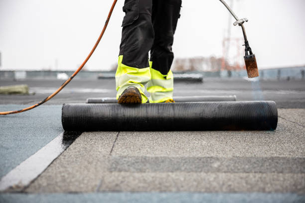 Best Skylight Installation and Repair  in Bath, MI
